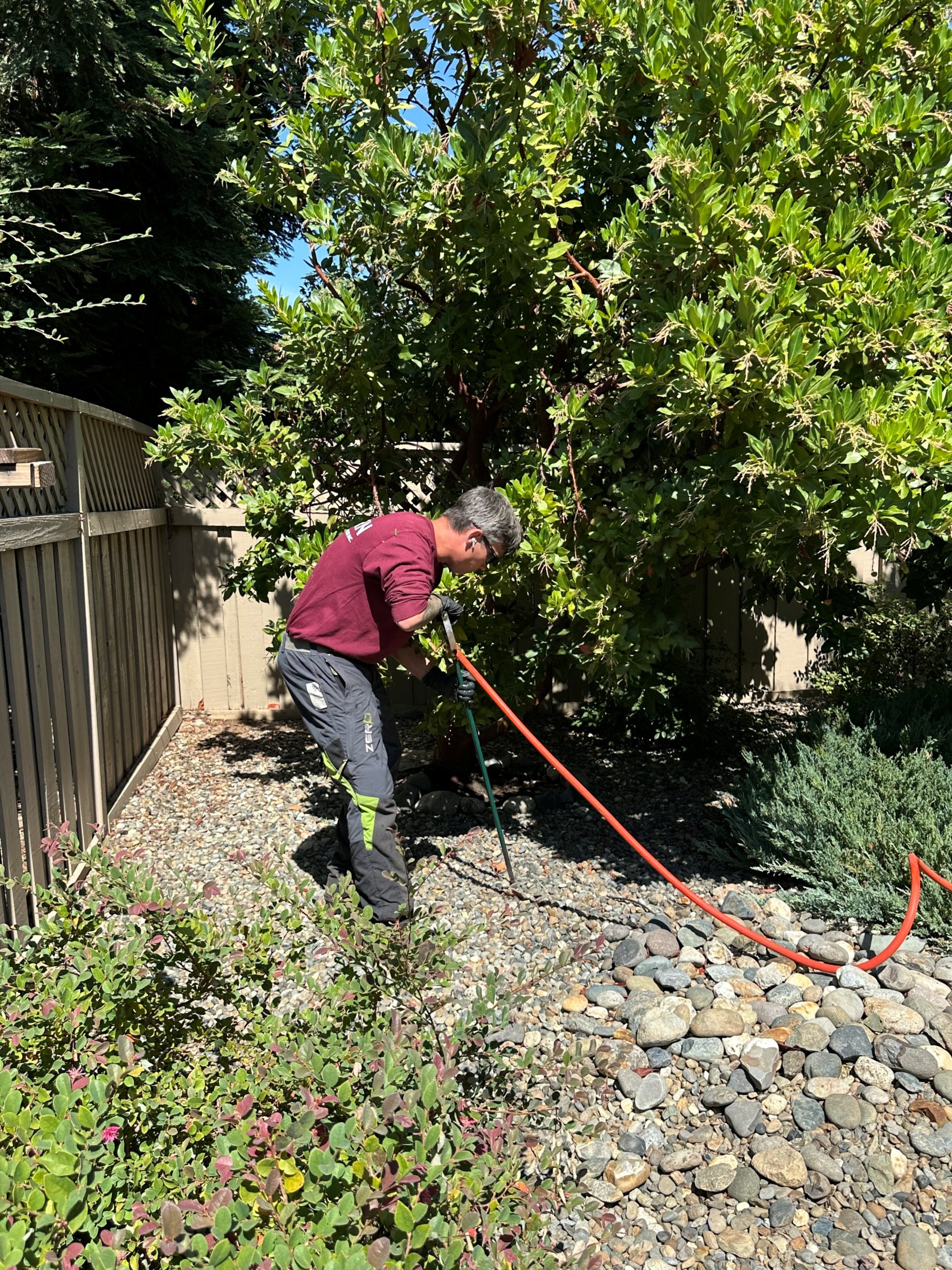 A crew member fertilizing a tree in Roseville, CA